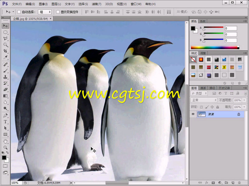 Photoshop抠图技法宝典