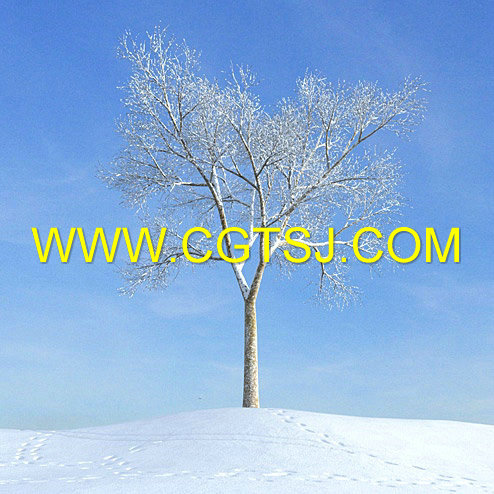 Archmode.100-秋冬树木模型的图片21