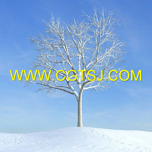 Archmode.100-秋冬树木模型的图片22