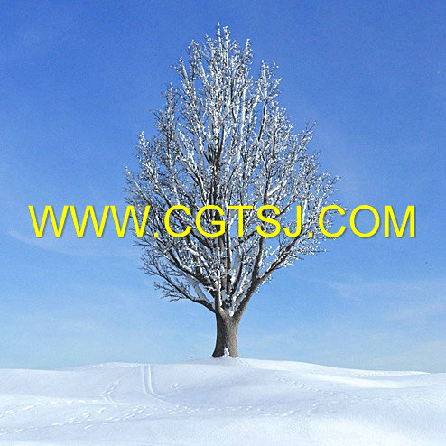 Archmode.100-秋冬树木模型的图片29