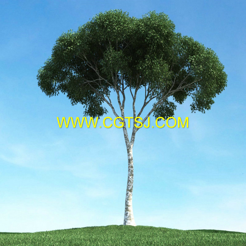 树木自然场景3D模型合辑的图片26