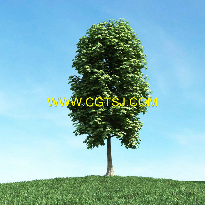 树木自然场景3D模型合辑的图片27