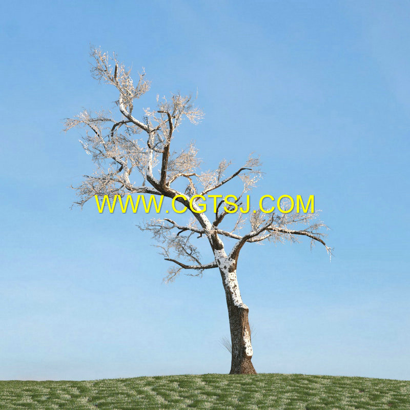 Archmode.113-树木模型合集的图片22