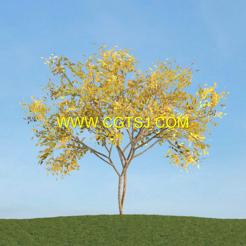 Archmode.113-树木模型合集的图片30