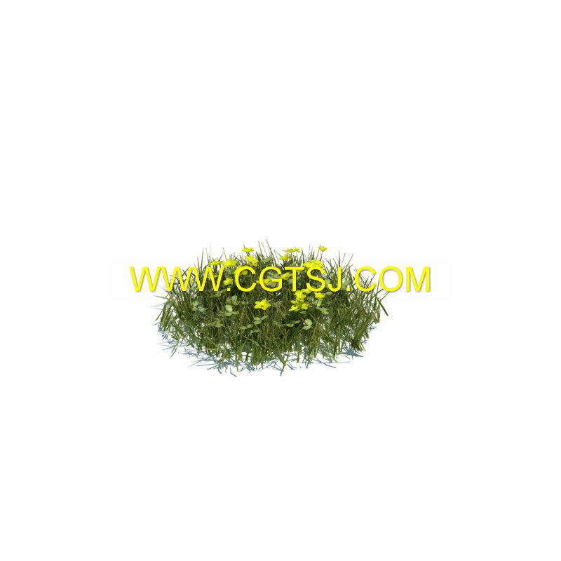 Archmode.124-草木植物3D模型合辑的图片23