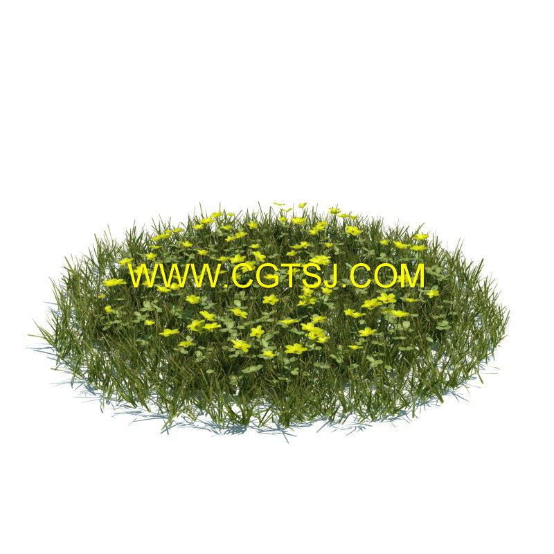 Archmode.124-草木植物3D模型合辑的图片26