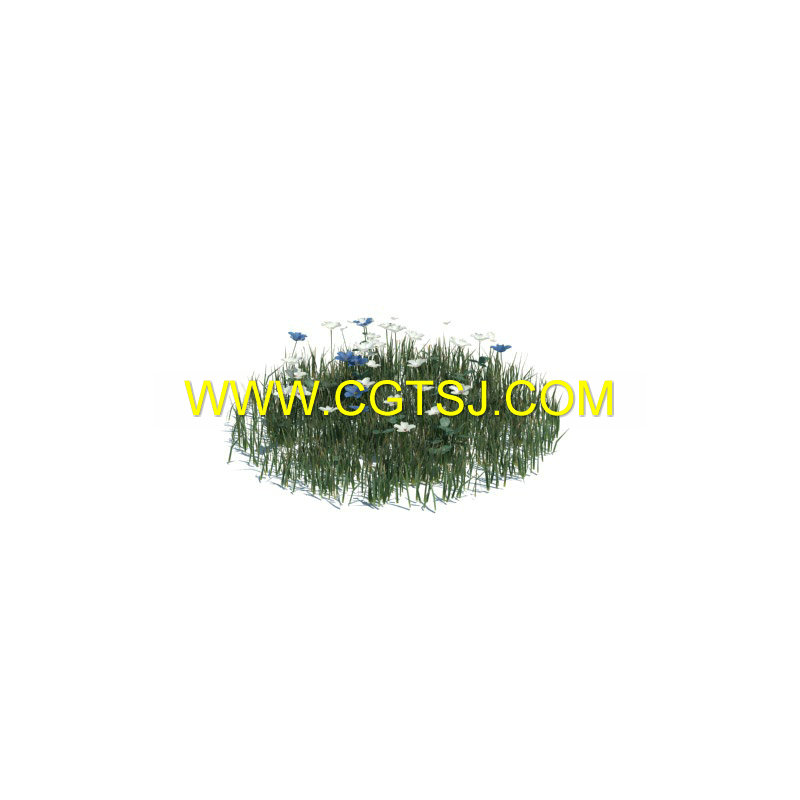 Archmode.124-草木植物3D模型合辑的图片29