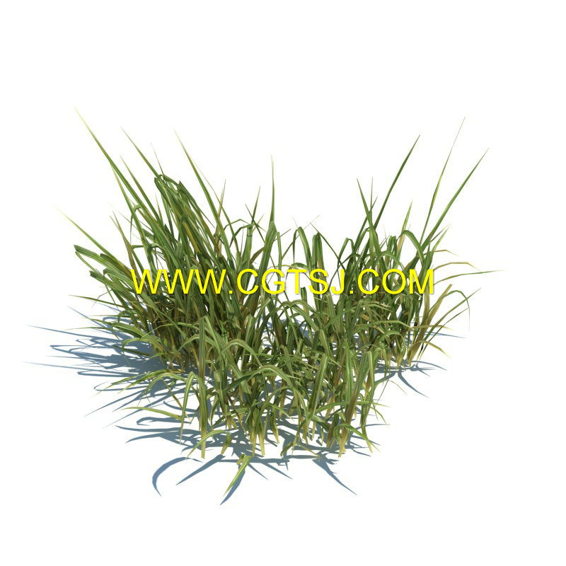 Archmode.126-草和小植物模型的图片3