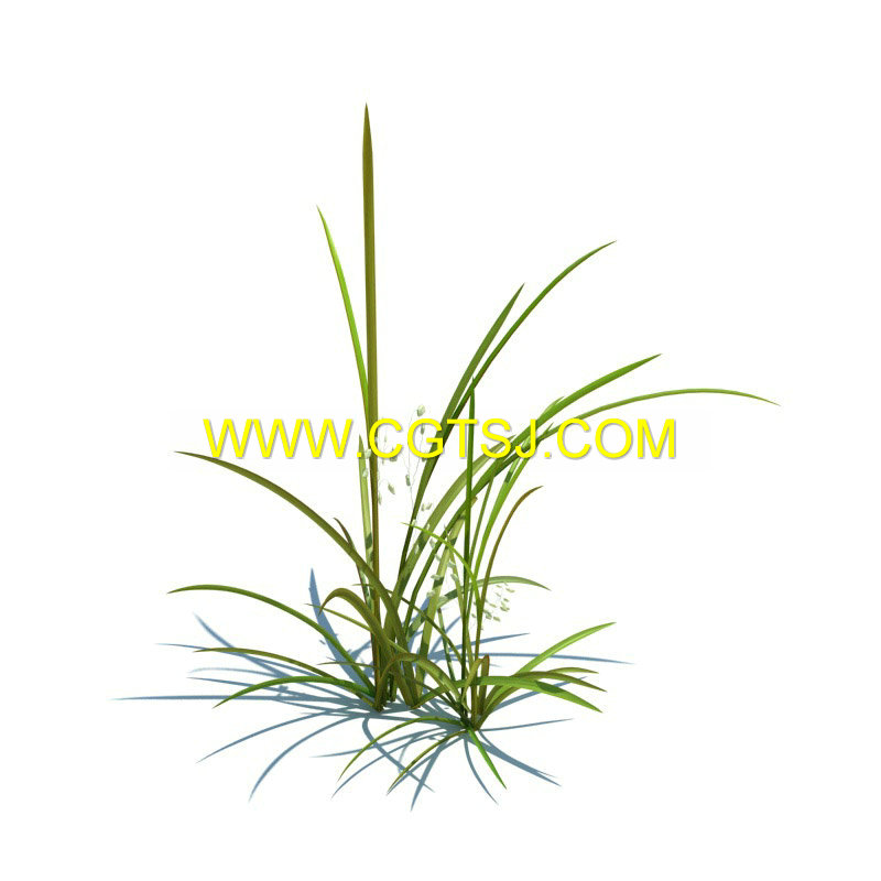 Archmode.126-草和小植物模型的图片6