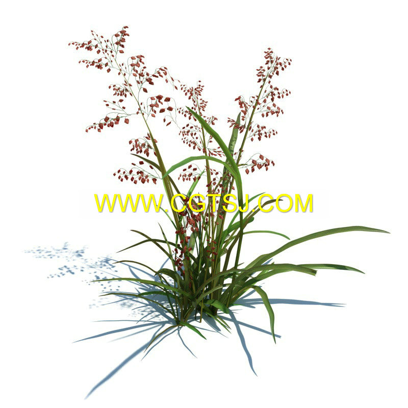 Archmode.126-草和小植物模型的图片8