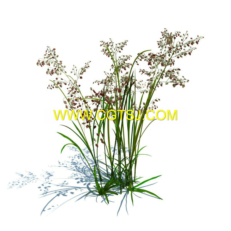 Archmode.126-草和小植物模型的图片9