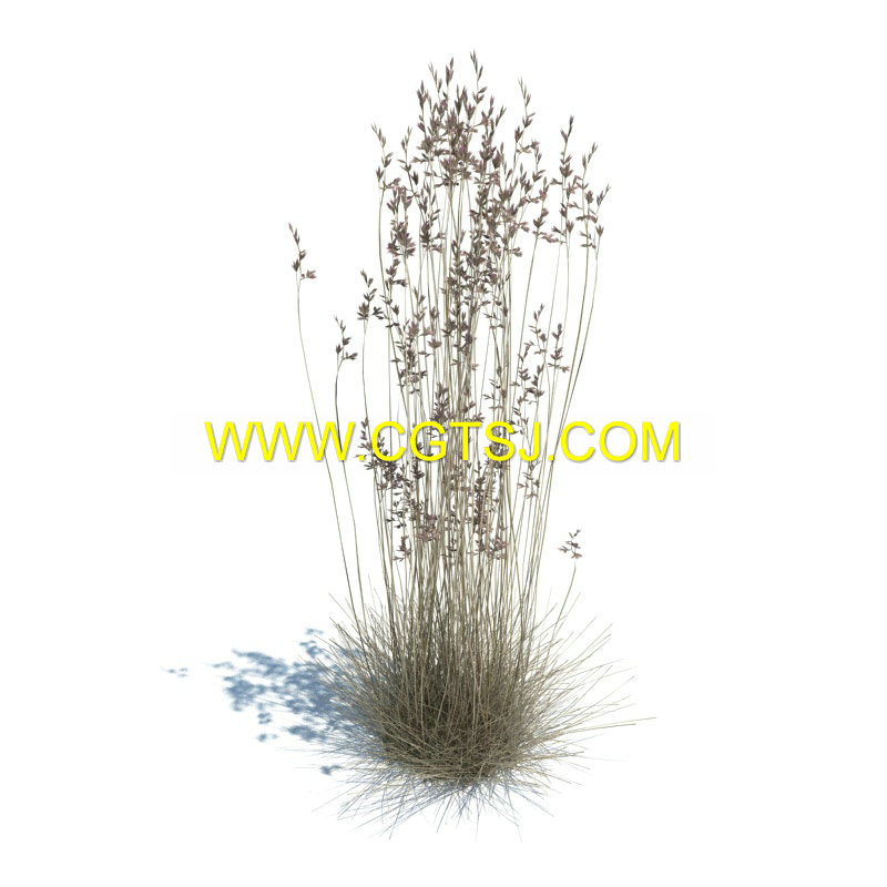 Archmode.126-草和小植物模型的图片10