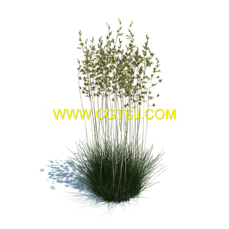 Archmode.126-草和小植物模型的图片11