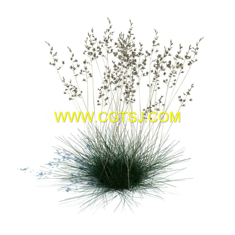 Archmode.126-草和小植物模型的图片12