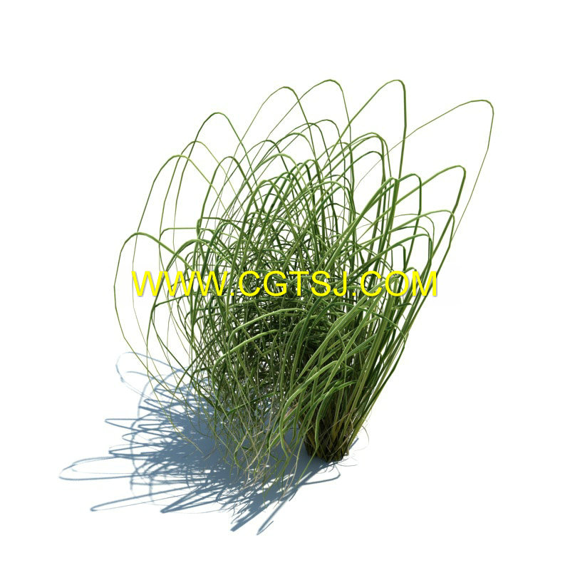 Archmode.126-草和小植物模型的图片14