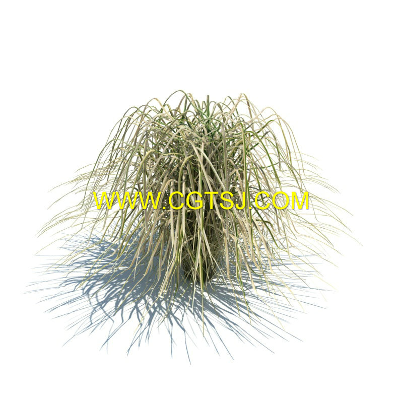 Archmode.126-草和小植物模型的图片15