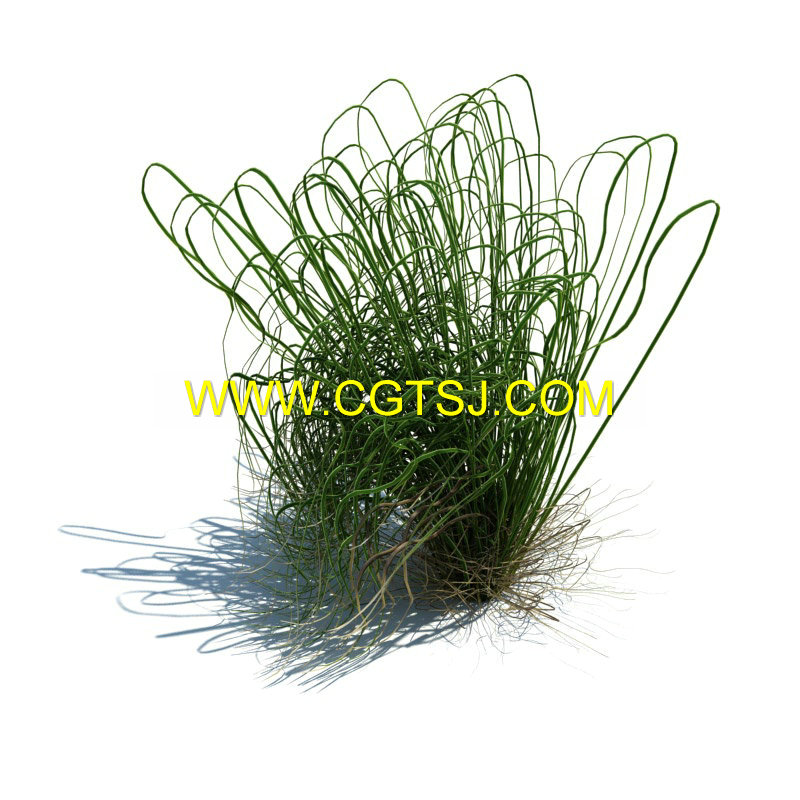 Archmode.126-草和小植物模型的图片16