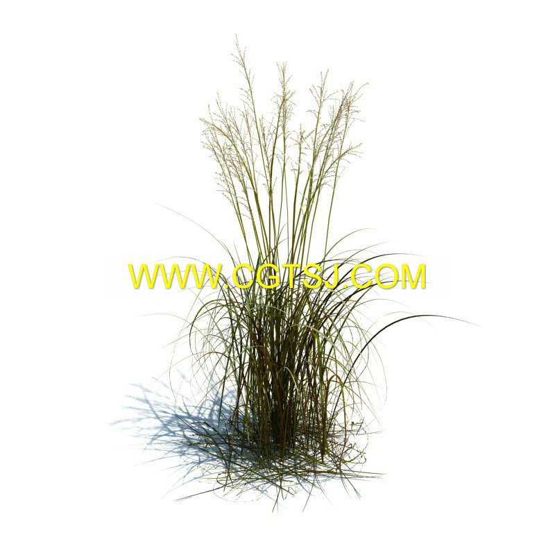 Archmode.126-草和小植物模型的图片19