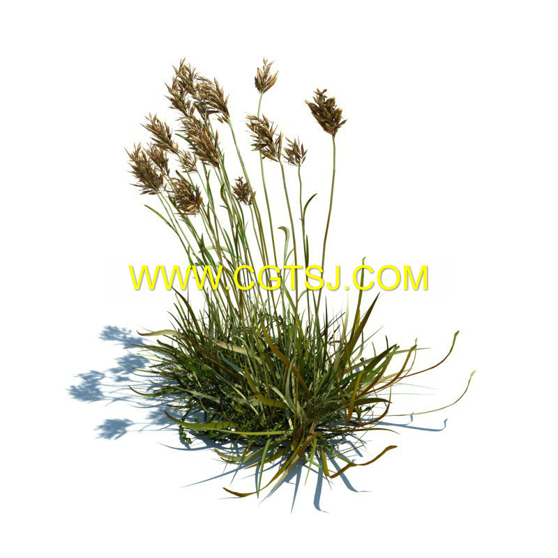 Archmode.126-草和小植物模型的图片20