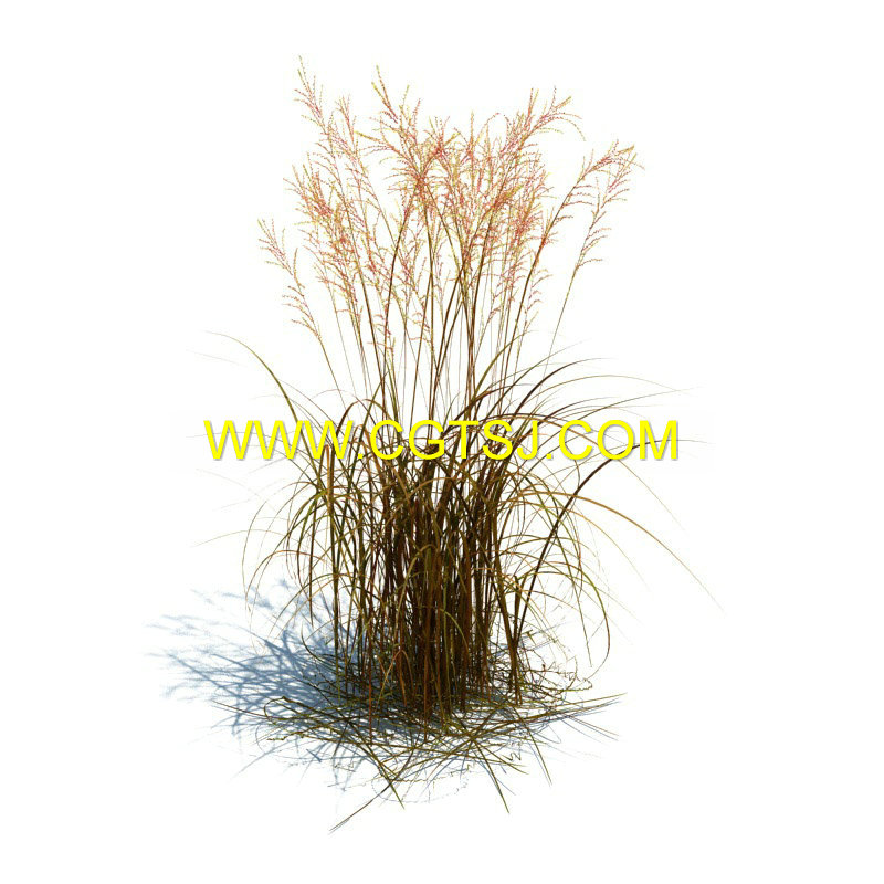 Archmode.126-草和小植物模型的图片21