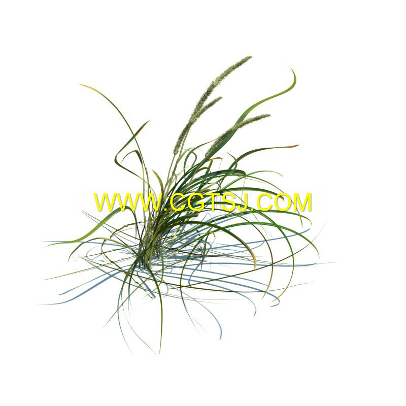 Archmode.126-草和小植物模型的图片23
