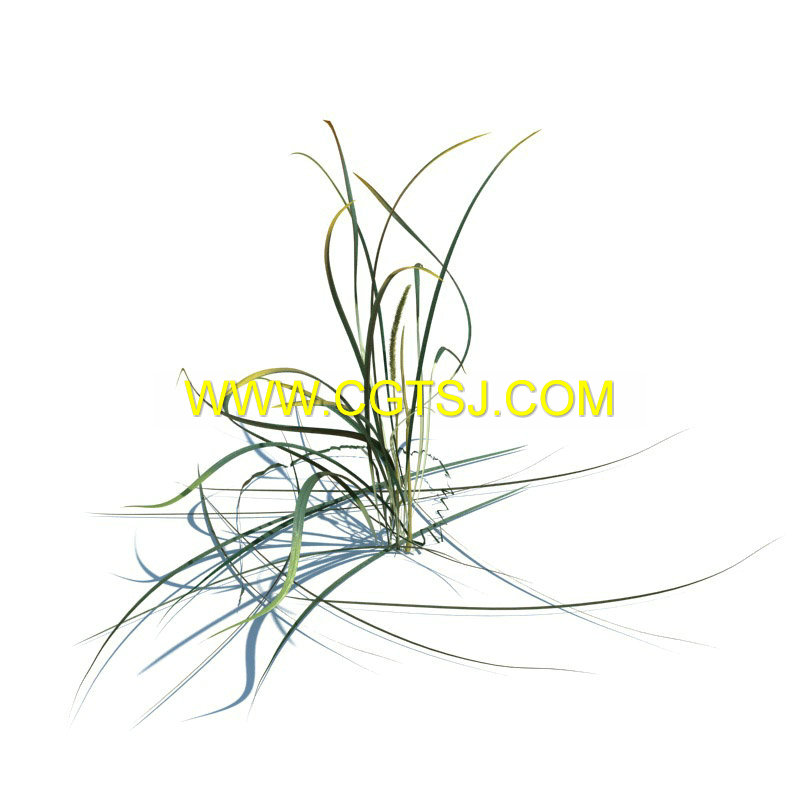 Archmode.126-草和小植物模型的图片25