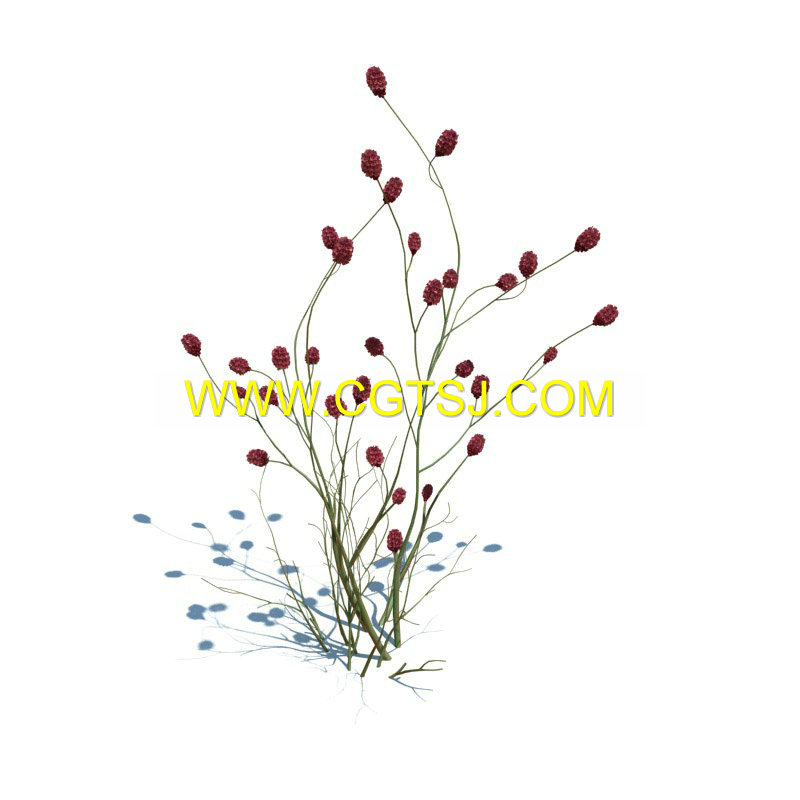 Archmode.126-草和小植物模型的图片30