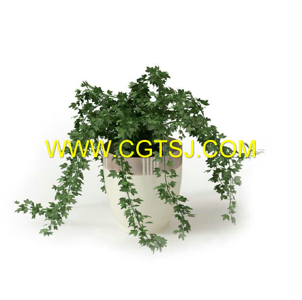 Archmode.66-盆栽植物模型的图片17