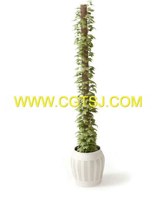 Archmode.66-盆栽植物模型的图片18