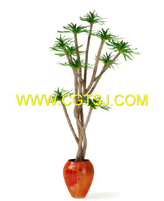 Archmode.75-盆栽植物模型的图片15