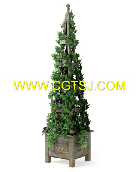 Archmode.75-盆栽植物模型的图片28