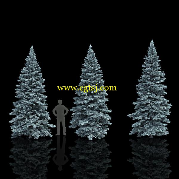 枞树3D模型合辑的图片17