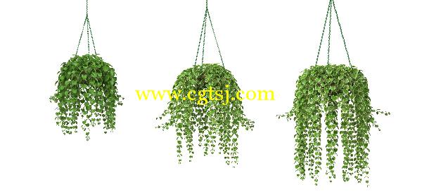 盆栽植物花3D模型合辑的图片11