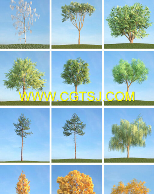 树木植物场景3D模型合辑的图片1