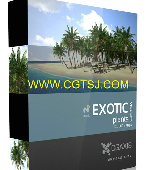 亚热带树木灌木植物3D模型合辑的图片3