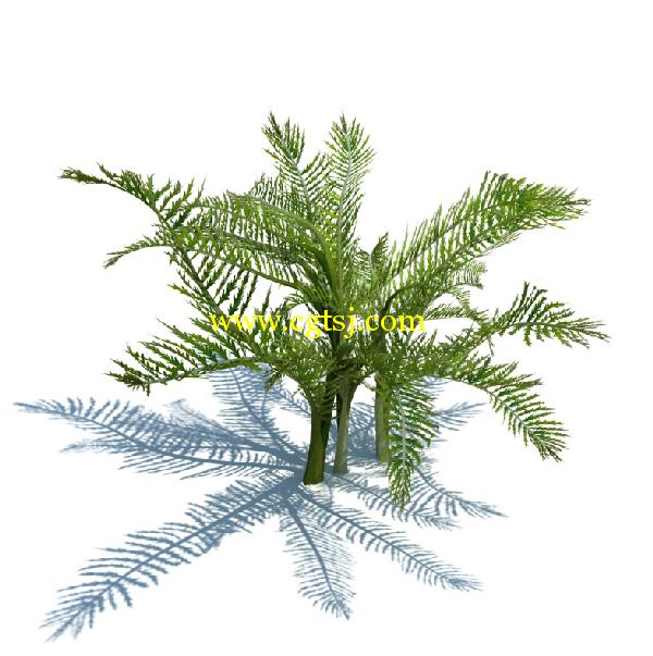 草木植物3D模型合辑的图片28