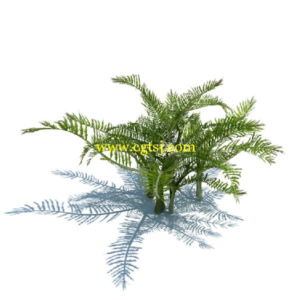 草木植物3D模型合辑的图片30