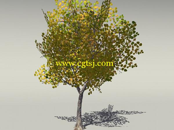 欧式树木植物3D模型合辑的图片3