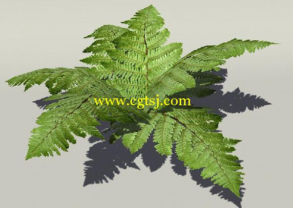 欧式树木植物3D模型合辑的图片8