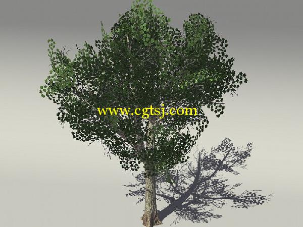 欧式树木植物3D模型合辑的图片21