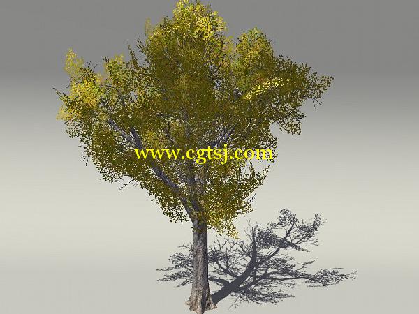 欧式树木植物3D模型合辑的图片22