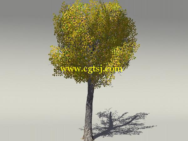 欧式树木植物3D模型合辑的图片28