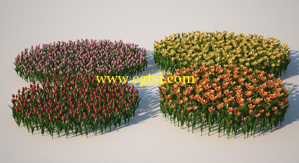 郁金香花草3D模型合辑的图片3