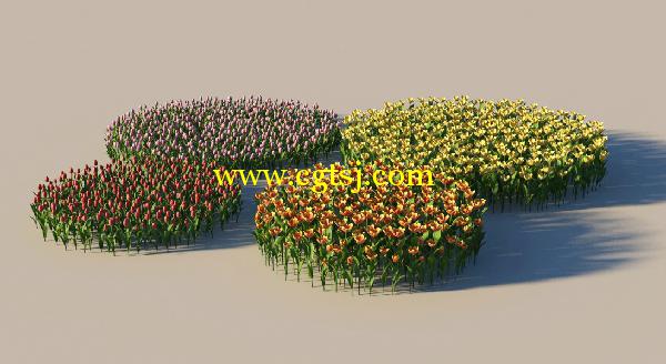 郁金香花草3D模型合辑的图片5