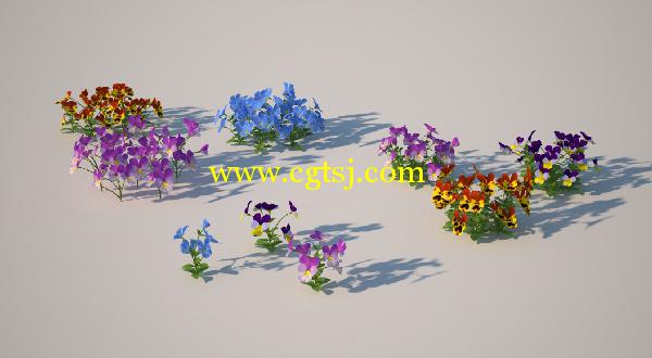 郁金香花草3D模型合辑的图片23