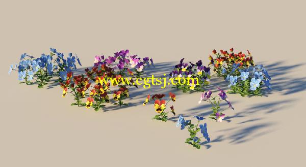 郁金香花草3D模型合辑的图片24