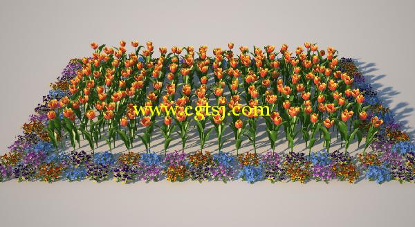 郁金香花草3D模型合辑的图片25