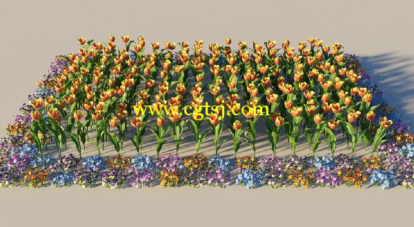 郁金香花草3D模型合辑的图片26