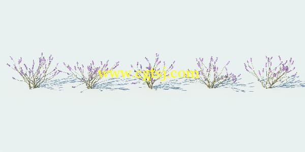 草丛灌木3D模型合辑的图片3