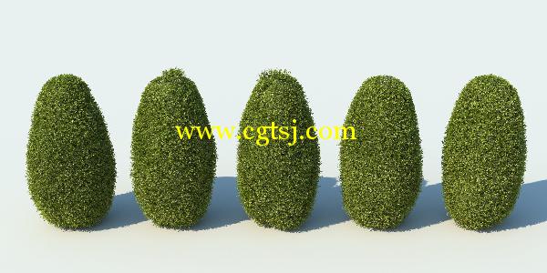 草丛灌木3D模型合辑的图片28